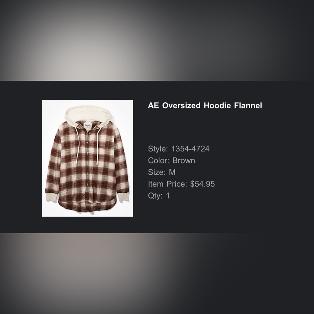 AE Oversized Hoodie Flannel